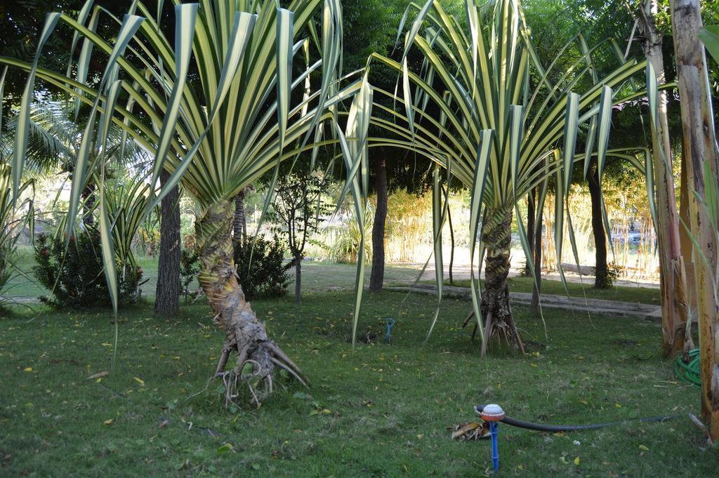 Pousada Yuste Beach Farm Paracuru Extérieur photo